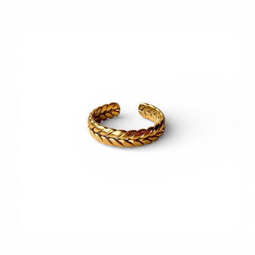 Braid Ring