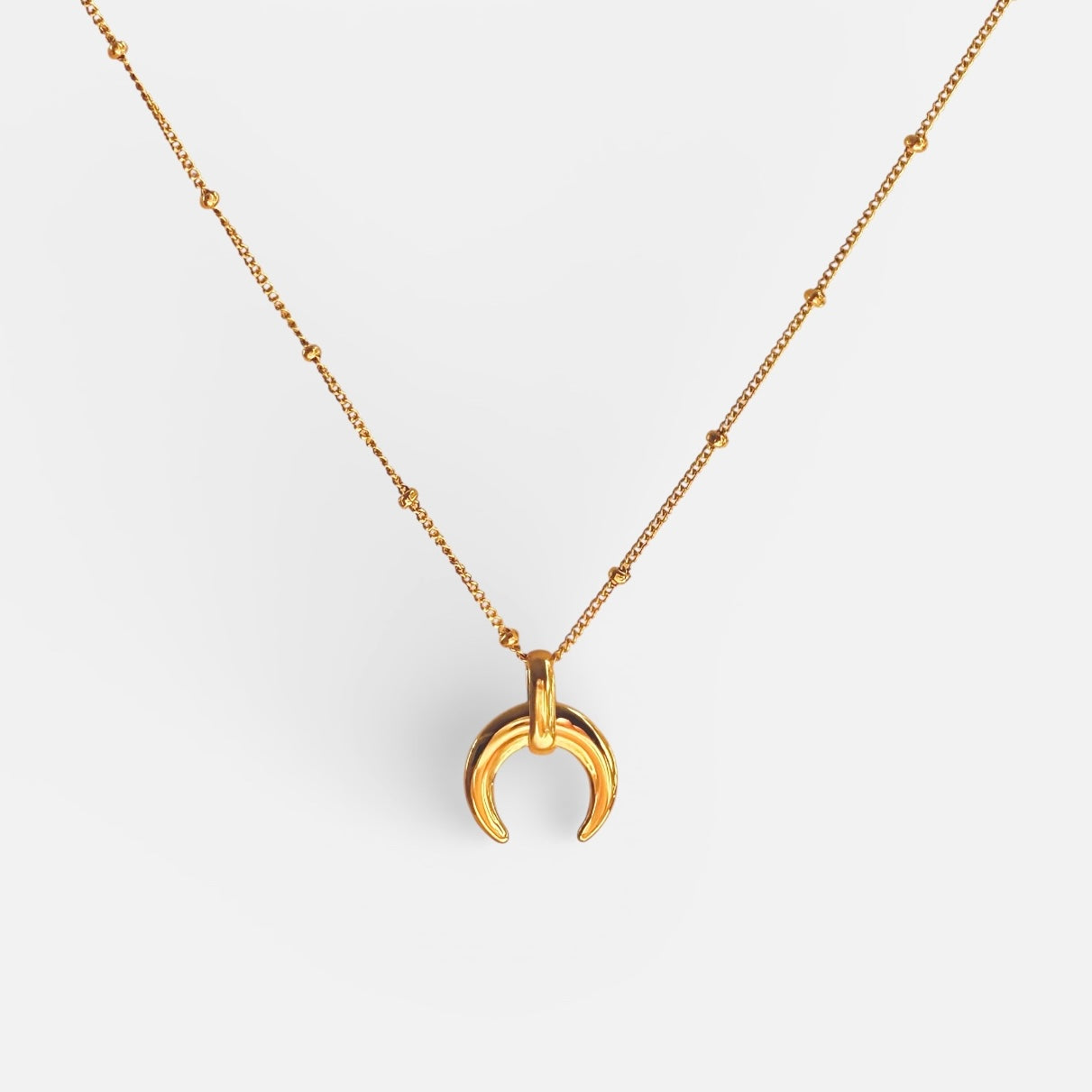 Crescent Moon Necklace