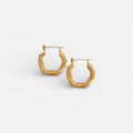 Spiral Twist Hoop Earrings